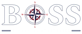 Boss Financial Strategies
